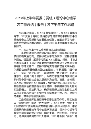 2023年上半年党委（党组）理论中心组学习工作总结（报告）及下半年工作思路