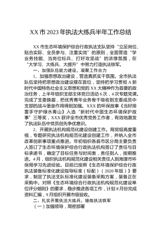 XX市2023年执法大练兵半年工作总结
