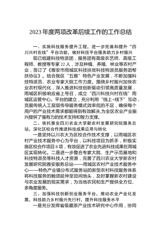 2023年度两项改革后续工作的工作总结