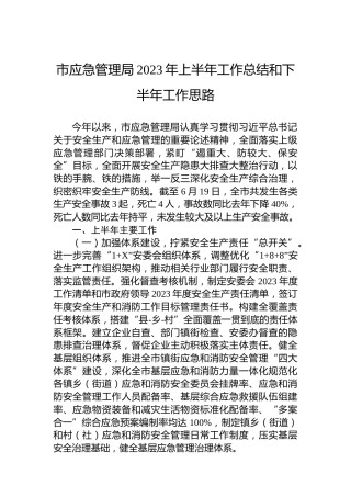 市应急管理局2023年上半年工作总结和下半年工作思路