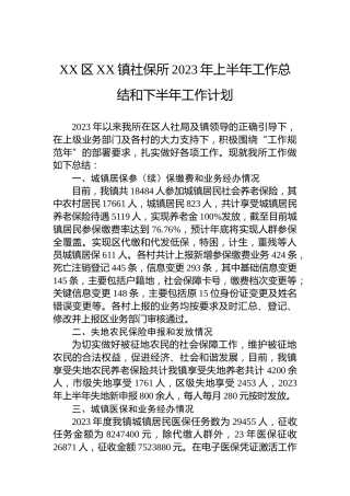 XX区XX镇社保所2023年上半年工作总结和下半年工作计划