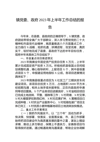 镇党委、政府2023年上半年工作总结的报告