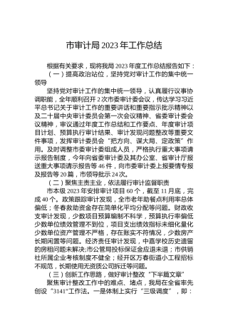 市审计局2023年工作总结