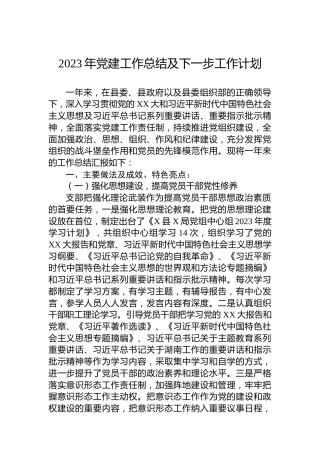 2023年党建工作总结及下一步工作计划