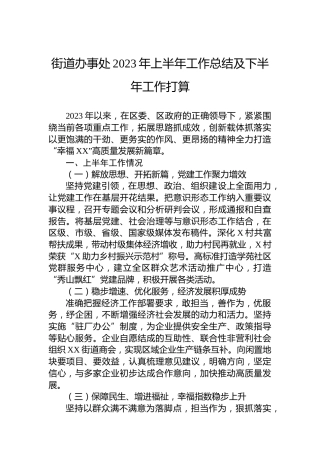 街道办事处2023年上半年工作总结及下半年工作打算