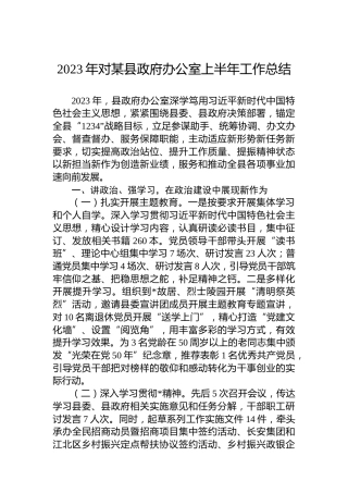 2023年对某县政府办公室上半年工作总结