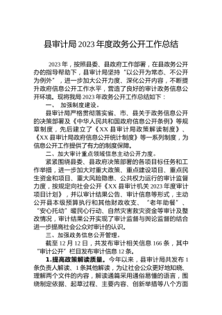 县审计局2023年度政务公开工作总结