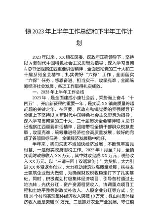 镇2023年上半年工作总结和下半年工作计划