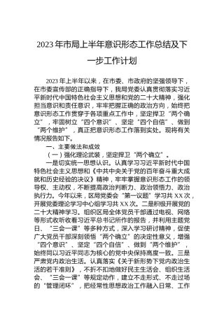 2023年市局上半年意识形态工作总结及下一步工作计划