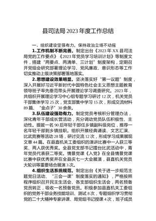 县司法局2023年度工作总结