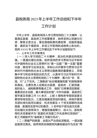 县税务局2023年上半年工作总结和下半年工作计划