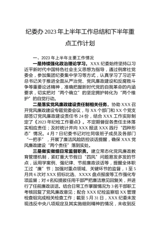 纪委办2023年上半年工作总结和下半年重点工作计划