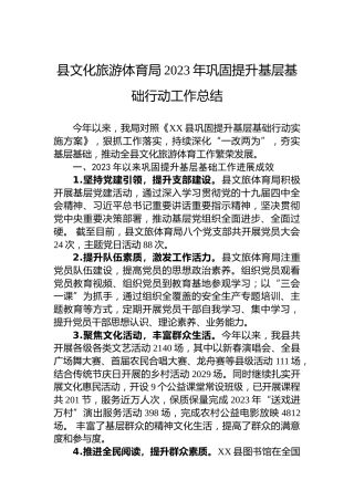 县文化旅游体育局2023年巩固提升基层基础行动工作总结