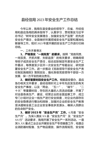 县经信局2023年安全生产工作总结