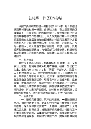 2023年驻村第一书记工作总结