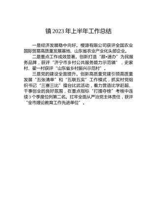 镇2023年上半年工作总结
