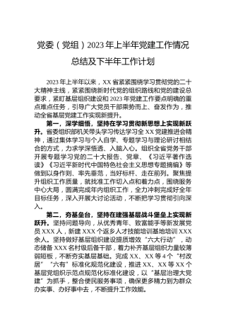 党委（党组）2023年上半年党建工作情况总结及下半年工作计划