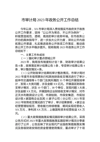 市审计局2023年政务公开工作总结(
