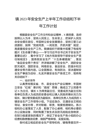 镇2023年安全生产上半年工作总结和下半年工作计划