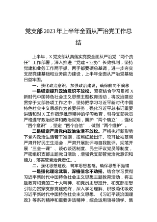 党支部2023年上半年全面从严治党工作总结