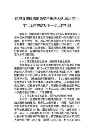 区粮食流通和能源综合执法大队2023年上半年工作总结及下一步工作打算