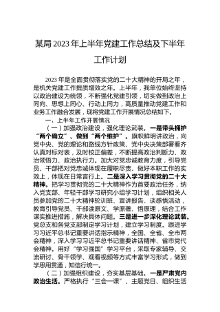 某局2023年上半年党建工作总结及下半年工作计划