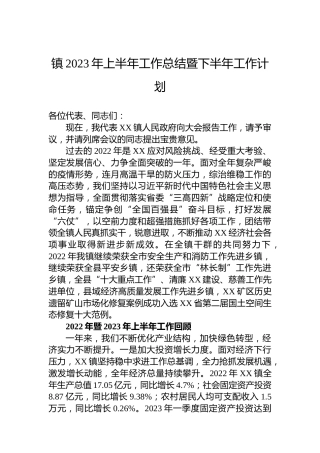 镇2023年上半年工作总结暨下半年工作计划