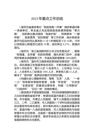 2023年重点工作总结