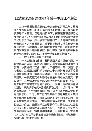 自然资源局分局2023年第一季度工作总结