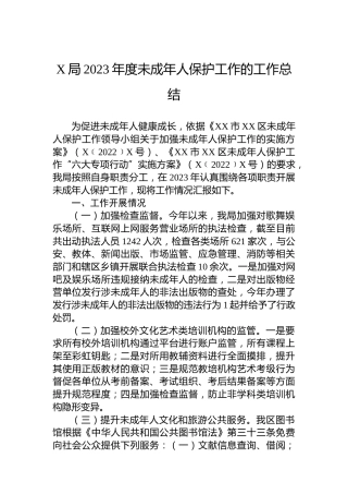 X局2023年度未成年人保护工作的工作总结