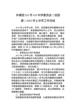 共青团XX市XX中学委员会（校团委）2023年上半年工作总结