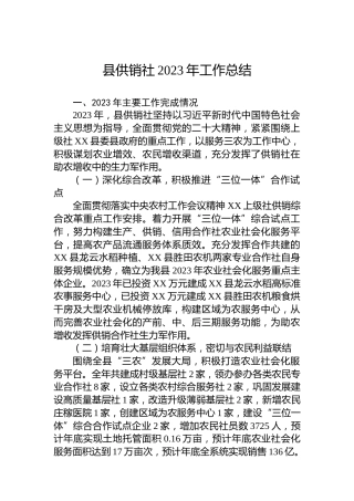 县供销社2023年工作总结