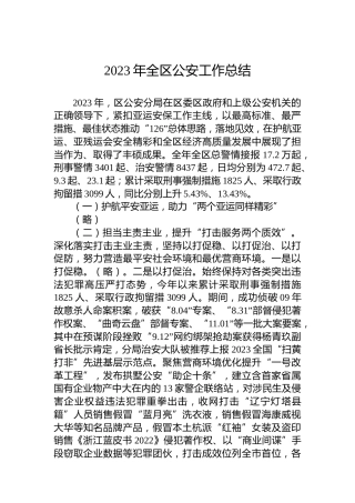 2023年全区公安工作总结