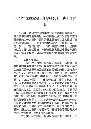 2023年医院党建工作总结及下一步工作计划