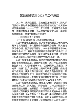 某数据资源局2023年工作总结