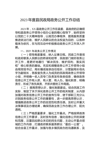 2023年度县民政局政务公开工作总结