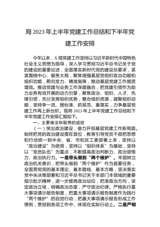 局2023年上半年党建工作总结和下半年党建工作安排