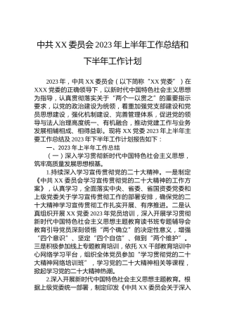 中共XX委员会2023年上半年工作总结和下半年工作计划