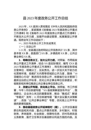 县2023年度政务公开工作总结