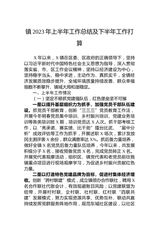 镇2023年上半年工作总结及下半年工作打算
