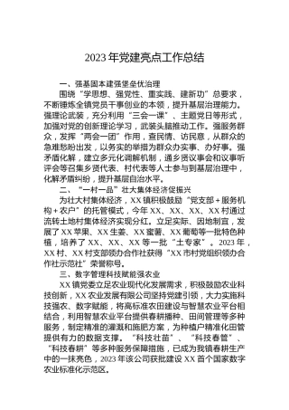 2023年党建亮点工作总结