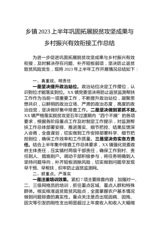 乡镇2023上半年巩固拓展脱贫攻坚成果与乡村振兴有效衔接工作总结