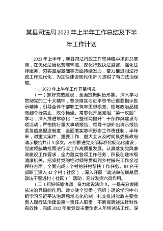 某县司法局2023年上半年工作总结及下半年工作计划