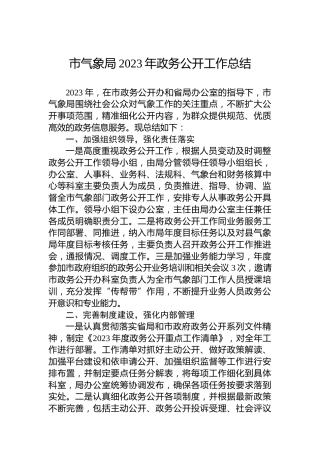 市气象局2023年政务公开工作总结