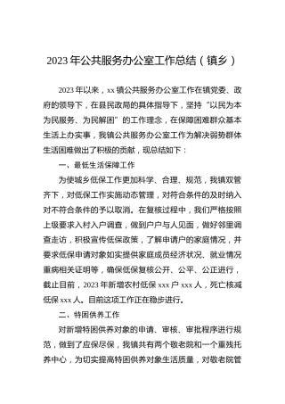 2023年公共服务办公室工作总结（镇乡）