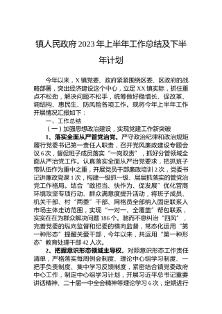 镇人民政府2023年上半年工作总结及下半年计划