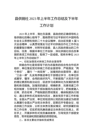 县供销社2023年上半年工作总结及下半年工作计划