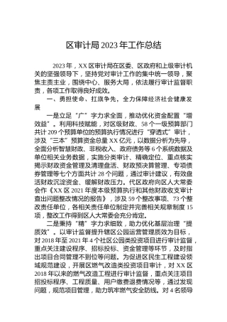 区审计局2023年工作总结