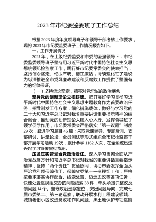 2023年市纪委监委班子工作总结
