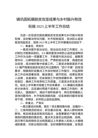 镇巩固拓展脱贫攻坚成果与乡村振兴有效衔接2023上半年工作总结